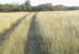 Октябрь, 2009г