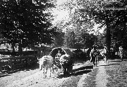 2-101466.jpg