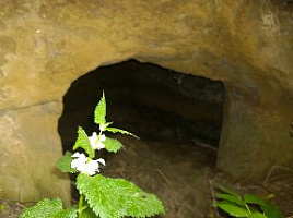WP_20160710_021.jpg