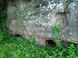 WP_20160710_025.jpg